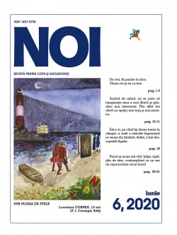 Revista NOI, nr,6, 2020
