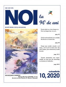 Revista NOI, nr.10, 2020