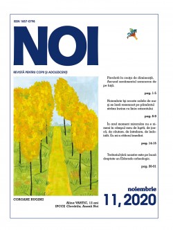 Revista NOI, nr.11, 2020